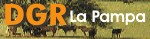 Rentas La Pampa